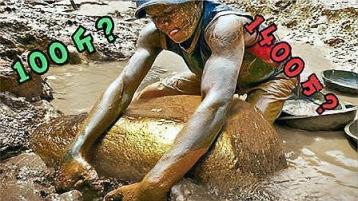 独家报道！黄金网站